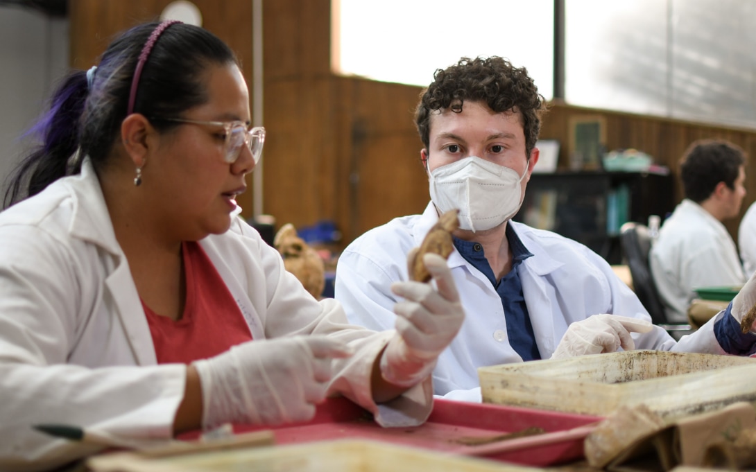 2023-sh-guatemala-forensic-1090x681